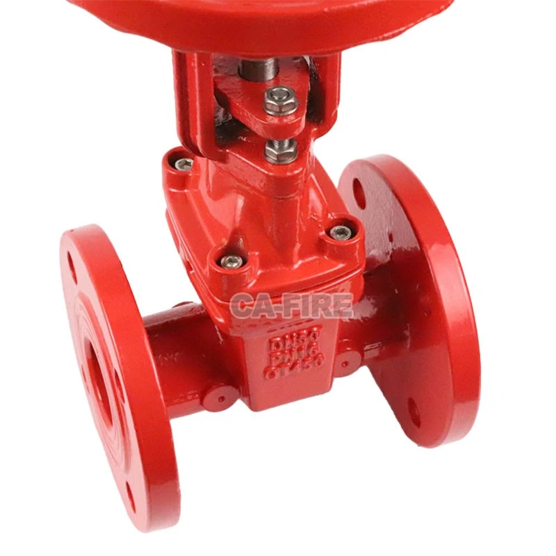 Fire gate valve (10)