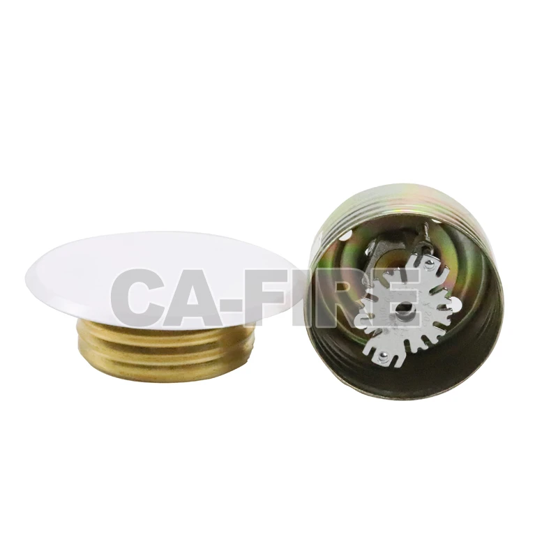 product-800-800 product-800-800